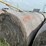 2024-mixed-grass-hay-round-bales-(bid-per-unit)-image-6