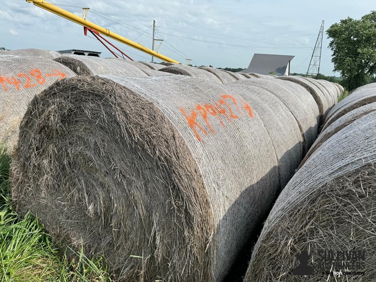 2024-mixed-grass-hay-round-bales-(bid-per-unit)-image-6