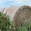 2024-mixed-grass-hay-round-bales-(bid-per-unit)-image-3