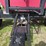 demco-550-image-12