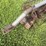 hutchinson-8x53-image-5