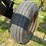 eco-tiger-champ-ii-dmi,-20’,-new-points-fall-of-’25,-tine-leveler,-has-front-discs-that-will-come-wi-image-11