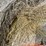 2024-mixed-grass-hay-round-bales-(bid-per-unit)-image-19