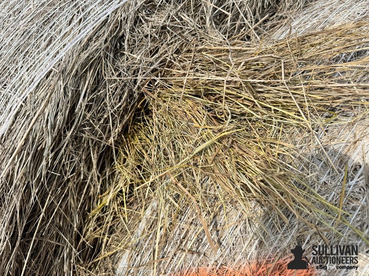 2024-mixed-grass-hay-round-bales-(bid-per-unit)-image-19