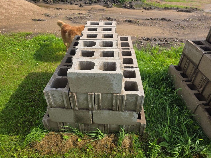 (2)-pallets-of-cinder-blocks,-buying-all-for-one-money-image-4