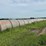 2024-mixed-grass-hay-round-bales-(bid-per-unit)-image-15