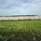 2024-mixed-grass-hay-round-bales-(bid-per-unit)-image-14
