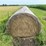 2024-mixed-grass-hay-round-bales-(bid-per-unit)-image-16