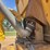 1998-caterpillar-d250e-image-19