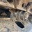 2019-caterpillar-308-cr-image-28