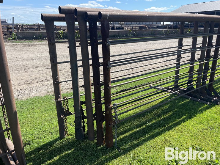 feedlot-panels-image-8