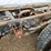2016-ford-550-image-31