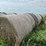 2024-mixed-grass-hay-round-bales-(bid-per-unit)-image-1