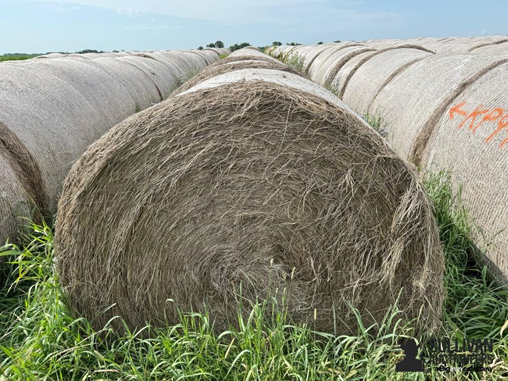 2024-mixed-grass-hay-round-bales-(bid-per-unit)-image-2