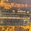 2008-caterpillar-314c-lcr-image-17