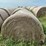 2024-mixed-grass-hay-round-bales-(bid-per-unit)-image-2