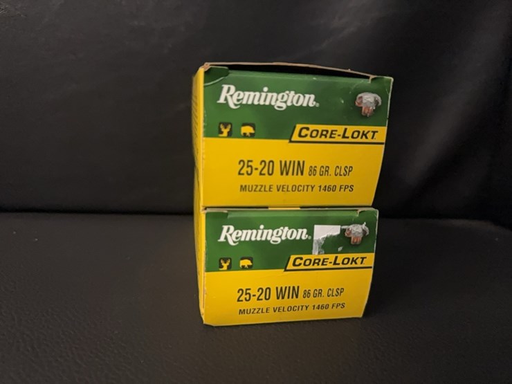 25-20-win-(ammo)-image-2