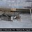 isuzu-npr-image-22