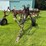 international-700-image-2