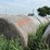 2024-mixed-grass-hay-round-bales-(bid-per-unit)-image-6