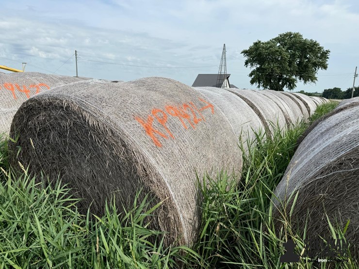 2024-mixed-grass-hay-round-bales-(bid-per-unit)-image-6