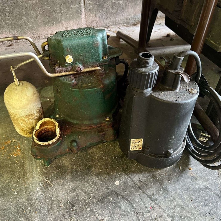 (2) Sump Pumps