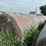 2024-mixed-grass-hay-round-bales-(bid-per-unit)-image-1