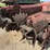 new-holland-516-image-11