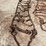 18.4-42-highway-tractor-chains-image-8