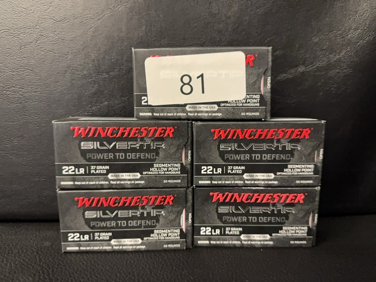 winchester-22-lr-silvertip-(ammo)-image-1