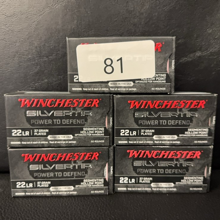 Winchester 22 LR Silvertip (Ammo)