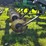 2016-john-deere-18-image-54