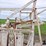 portable-cattle-chute-image-12