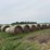 2025-john-deere-568-image-1