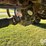 2005-case-ih-flx4010-image-54