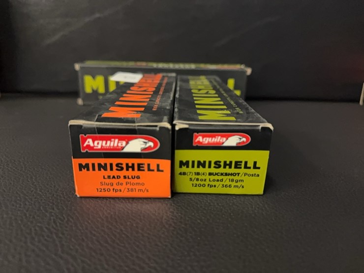 60-mini-shotshells-(ammo)-image-2