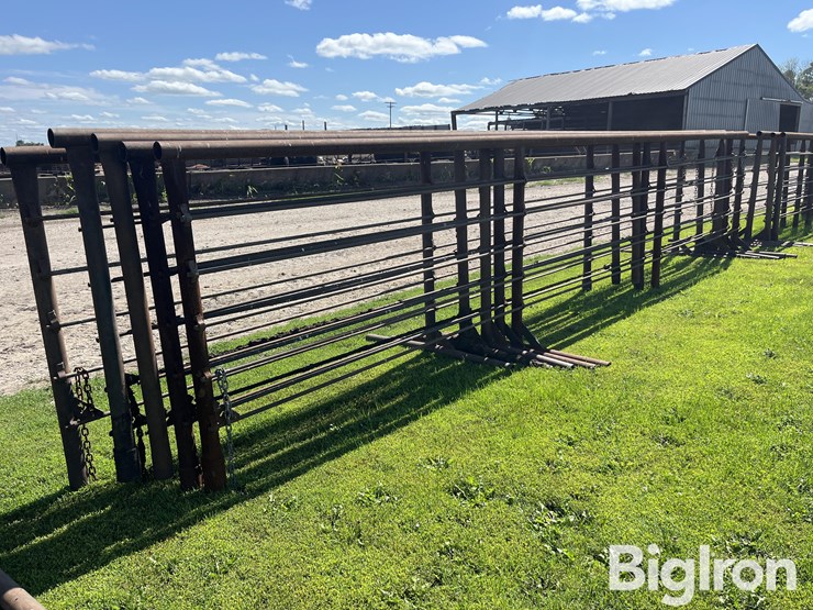 feedlot-panels-image-7