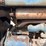 ford-600-image-41