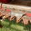 case-ih-1020-image-14