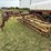 new-holland-259-image-4