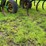 john-deere-680-image-28