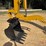 2025-caterpillar-305.5-image-17