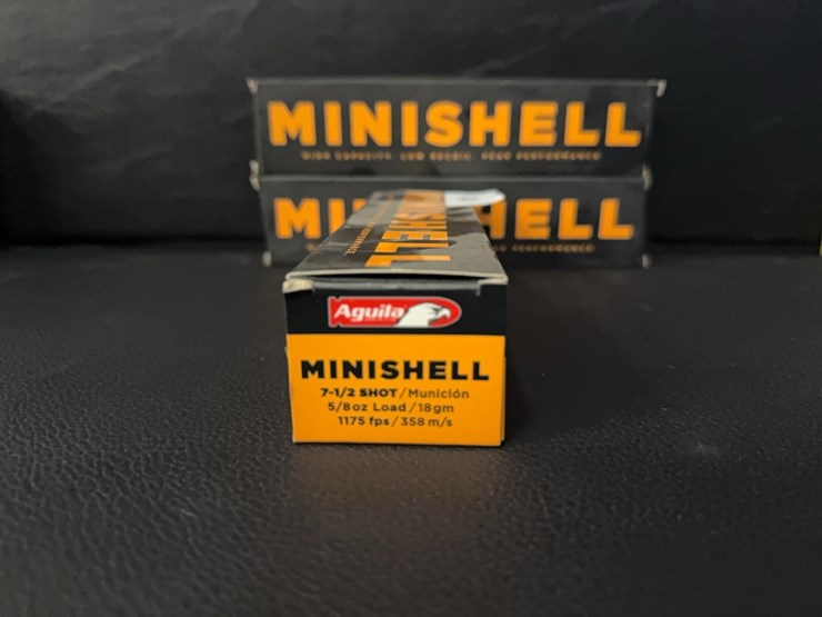 60-mini-shotshells-(ammo)-image-2