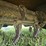 john-deere-27-image-15