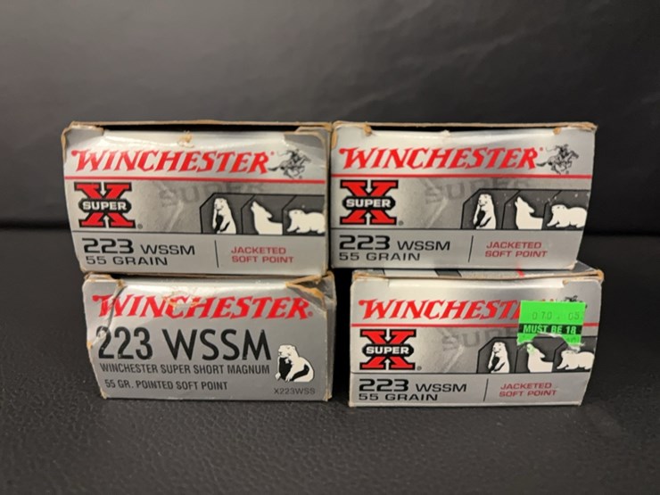 223-wssm-(ammo)-image-2