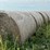 2024-mixed-grass-hay-round-bales-(bid-per-unit)-image-1