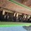 2009-john-deere-9770-sts-image-19