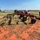 hesston-2340-image-4