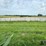 2024-mixed-grass-hay-round-bales-(bid-per-unit)-image-8
