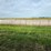 2024-mixed-grass-hay-round-bales-(bid-per-unit)-image-4